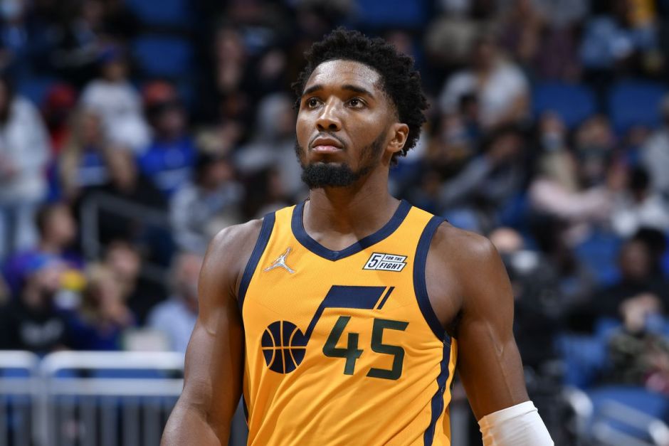 系统化培养 系统化培养