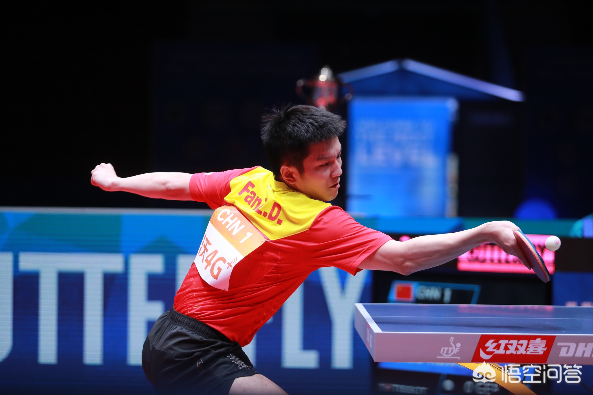 这一计划既 这一计划既